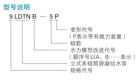 LDTN型凝香蕉视频APP下载IOS
